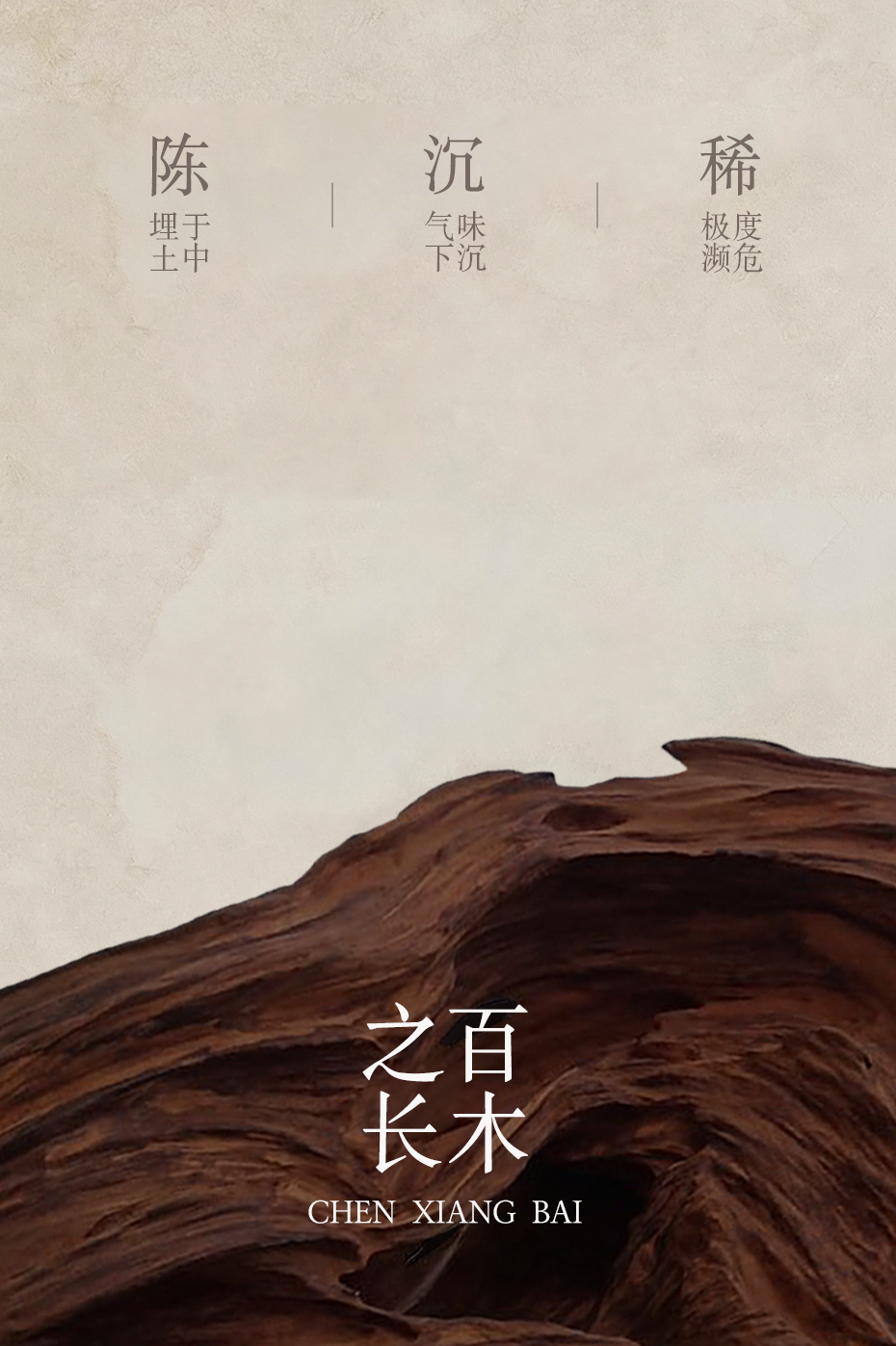 组 3.png